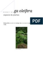 Moringa Oleifera - Wikipedia, La Enciclopedia Libre