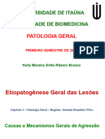 Biomedicina - E - Patologia -  Lesões - 08 - 04 -02024