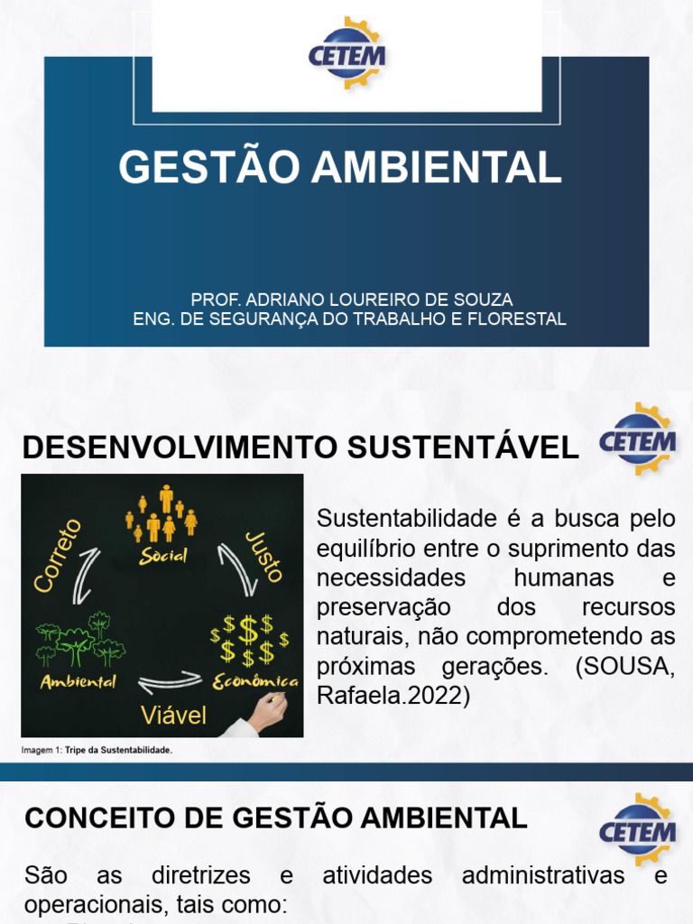 Gestão Ambiental e Sustentabilidade | PDF | Gestão de recursos ...
