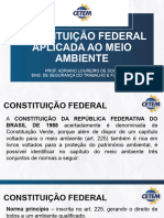 AULA 09 - CONSTITUIÇÃO FEDERAL APLICADA AO MEIO AMBIENTE