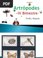 Arthropodes