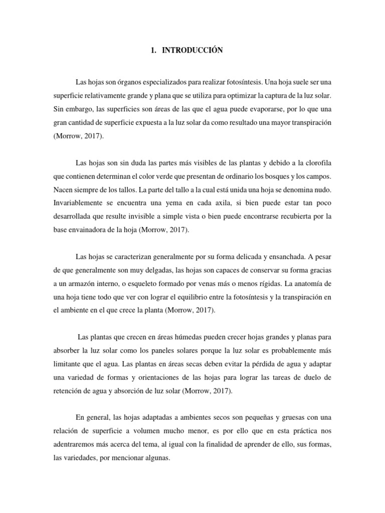 Reporte hojas descargar gratis pdf hoja plantas