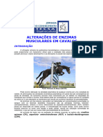 Alterações de Enzimas Musculares em Cavalos