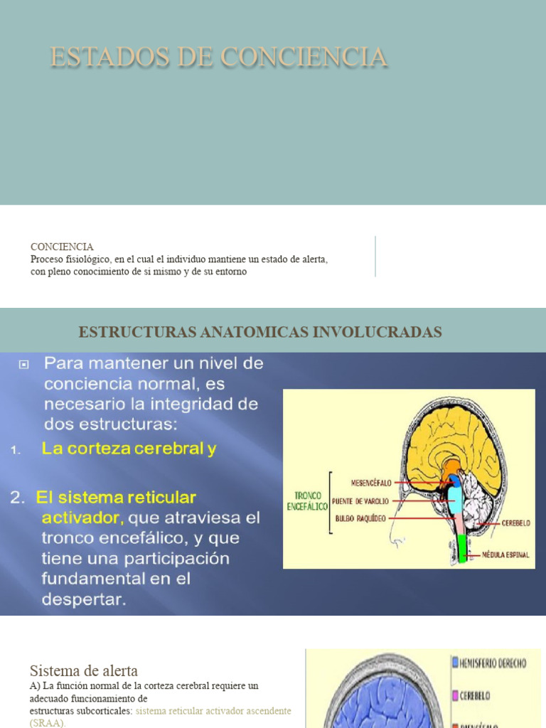 Estados de Conciencia | PDF | Coma | Conciencia