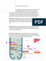 Ciclo Del Nitrógeno y Urea