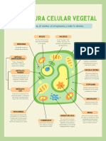 Célula Vegetal Biología