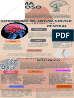 Sistema Nervioso Infografia
