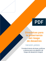 VF-Guidelines on Disaster Risk Governance - Pilot Version for Comments_Spanish