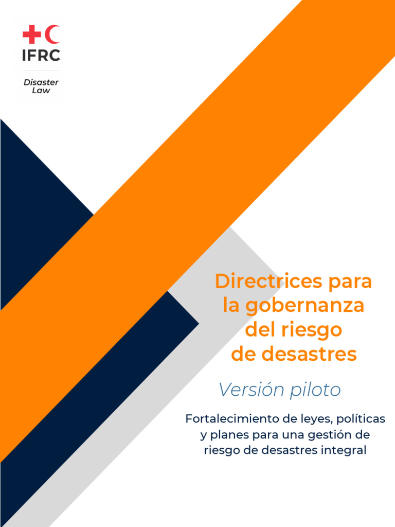 vf-guidelines-on-disaster-risk-governance-pilot-version-for-comments