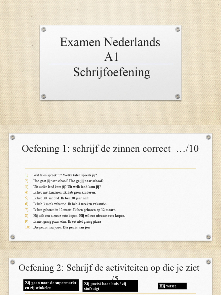 Alexis - Examen Nederlands A1 | PDF