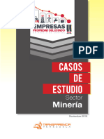 CASOS Sector Minería