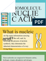 Nucleic Acid 1