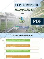 Modul 1. Pengertian Dan Sistem Hidroponik