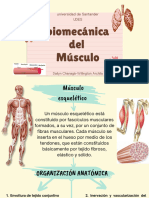 Biomecanica Del Musculo