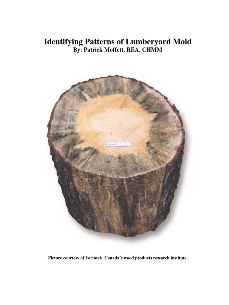 Identifying Patterns of Lumberyard Mold | PDF | Wood | Mold