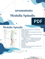 Clinical Neuroanatomy - Basal Ganglia, Spinal Cord Dan Medulla Spinalis