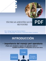 Técnicas Anestésicas en Fauna Silvestre 1