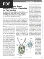 “REVELATION”レイヤ 1714108253?v=1