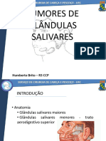 Tumores de Glandulas Salivares