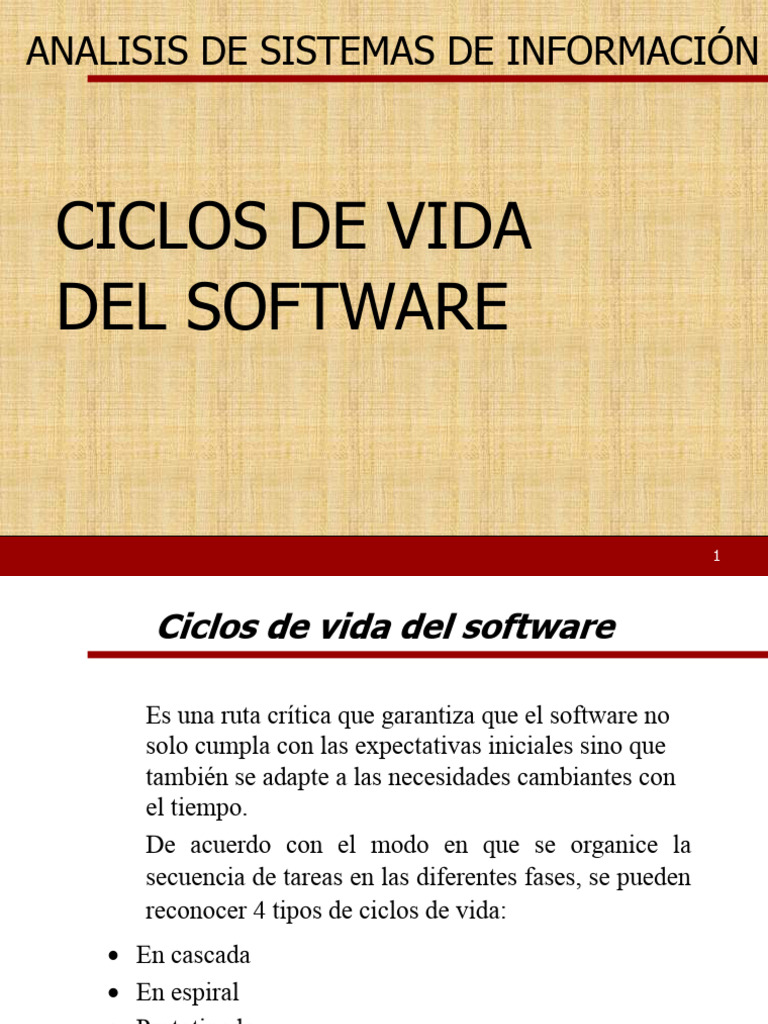 Ciclos de Vida - Análisis | PDF | Software | Informática