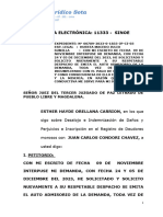 CON MI ESCRITO DE FECHA 09 DE NOVIEMBRE INTERPUSE MI DEMANDA, Esther Hayde Orellana