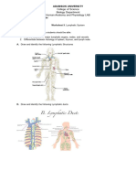 Worksheet9. Lymphatic System