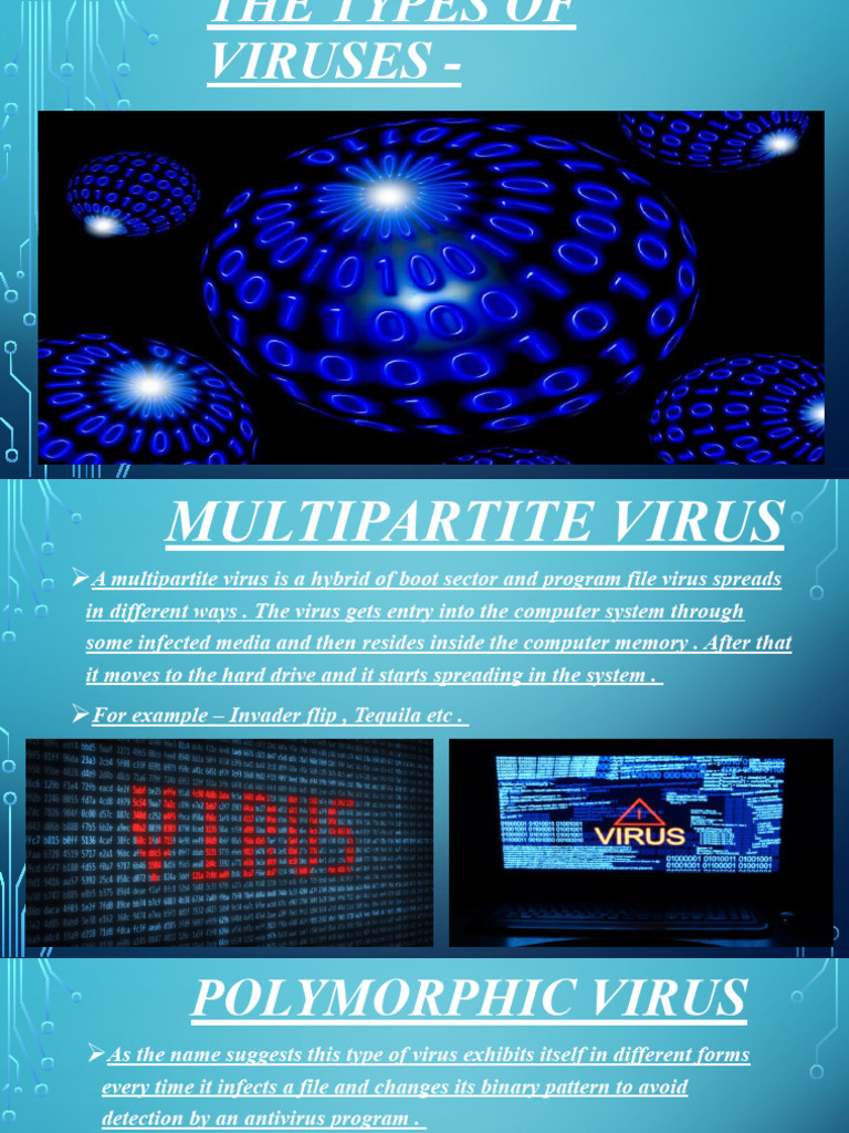 Understanding Computer Viruses | PDF | Social Science | Computers
