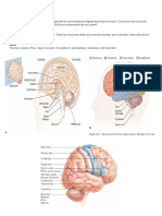 FINALS NEUROLOGIC ASSESSMENT