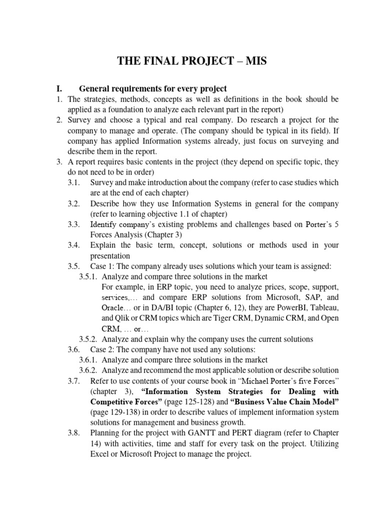 MIS Final Project Guidelines and Requirements | PDF | Analytics ...