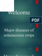 Major Diseases of Solanaceous Crops