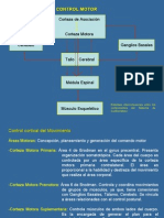 Control Motor