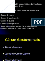 Cáncer Ginetomamario