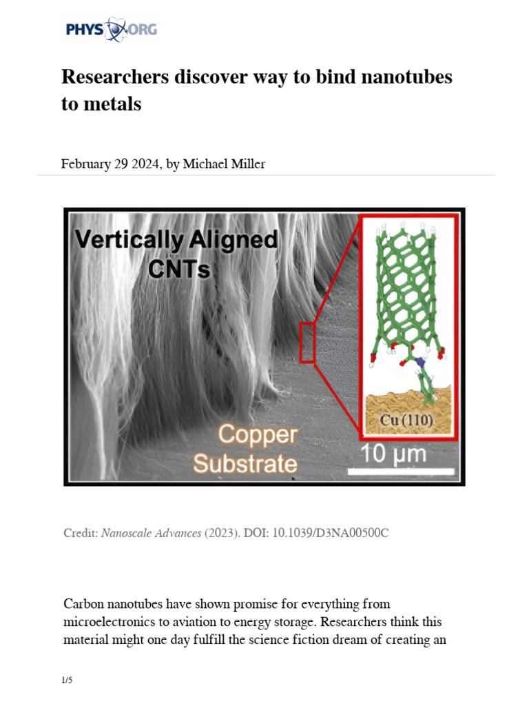 2024 02 Nanotubes Metals | PDF | Carbon Nanotube | Carbon