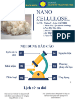 Nhóm 5 - Nano Cellulose