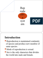 Reproductive system