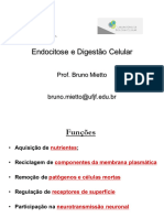 Aula 4 - Endocitose e Digestao Celular