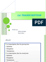 La Transcription (2)