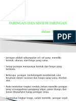 Jaringan Dan Sistem Jaringan Dalam Tumbuhan