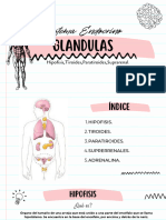 Sistema Endocrino - 20240312 - 231834 - 0000