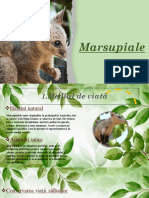 Prezentare Biologie Marsupiale