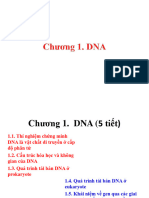 Chuong1 DNA Di Truyen