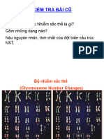 Lesson 10 Mutation Chromosomes