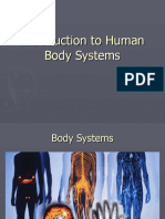 Introduction To Human Body Systems Teaching