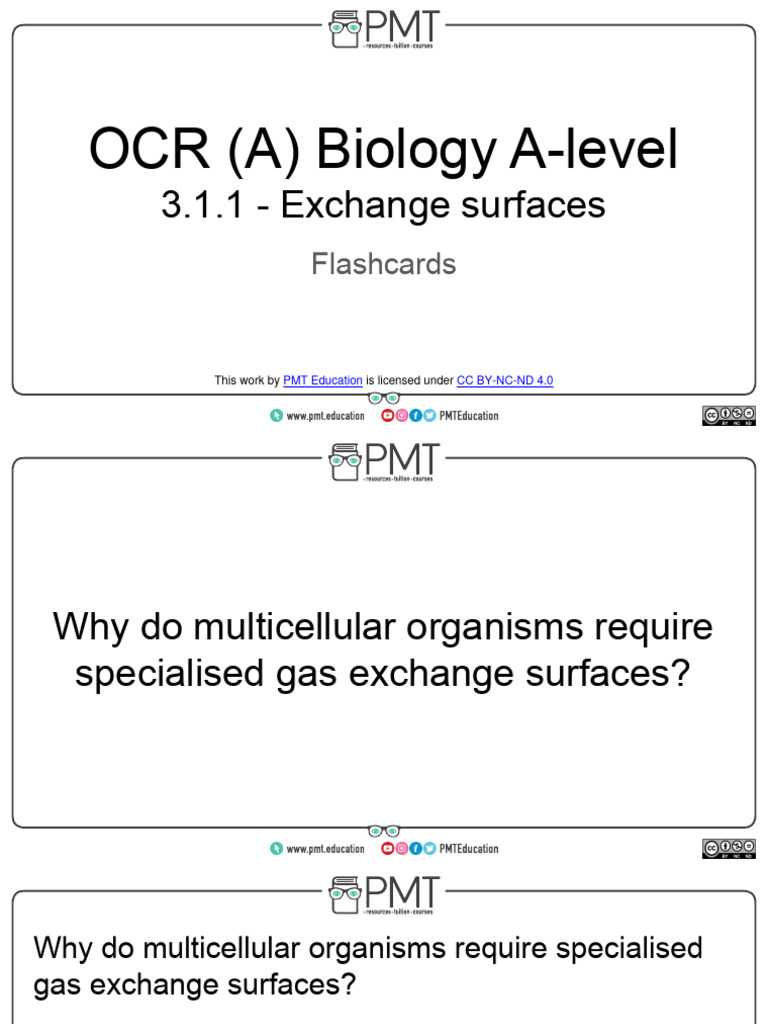 A-Level Biology: Exchange Surfaces Guide | PDF | Lung | Breathing