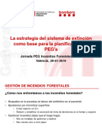 La Estrategia Del Sistema de Extinción Como Base para La Planificación de PEG