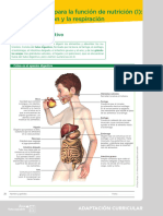 Adaptacion Anaya. Digestion y Respiracion