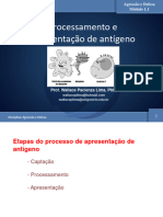 MODULO 1.1 - Processamento e Apresentação de Antígeno (A e D)