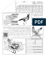 (08) الطيور