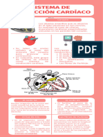 Annotated-Infografia de Sistema de Conduccion Cardiaca - Blas Arriaga Maria Isela