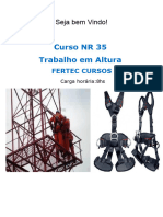 Curso NR 35 FELIPE